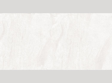 Capri White 24x48 10mm Matte Porcelain Tile