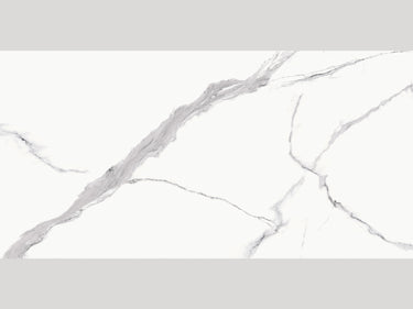 Siena Grande 24x48 10mm Matte Porcelain Tile