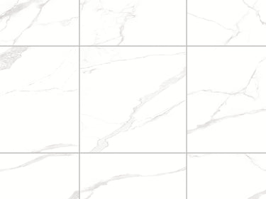 Statuario Goya 24x24 8.5mm Matte Porcelain Tile