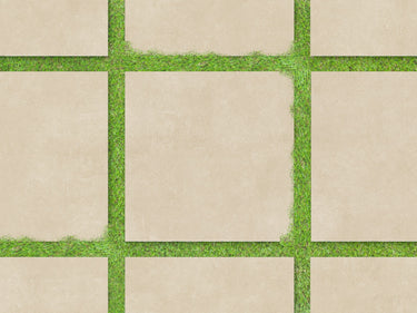 Aurelia Ivory 24x24 20mm Matte Porcelain Paver